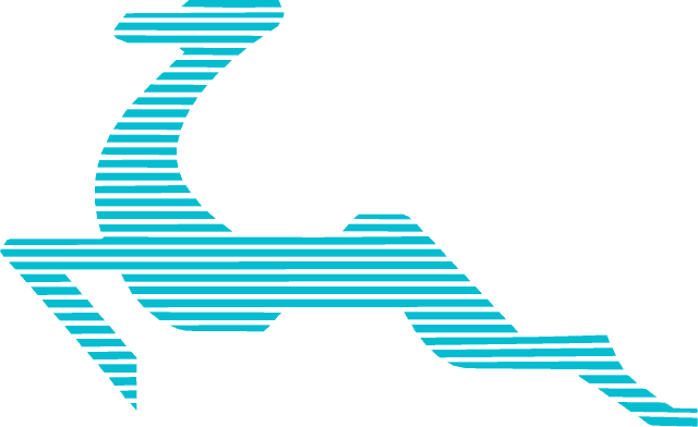 Logo La Gazzella Express